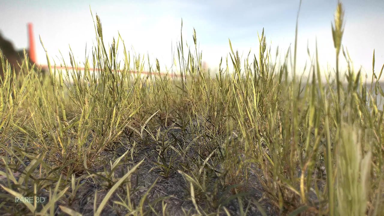 A weed grass 3D Model