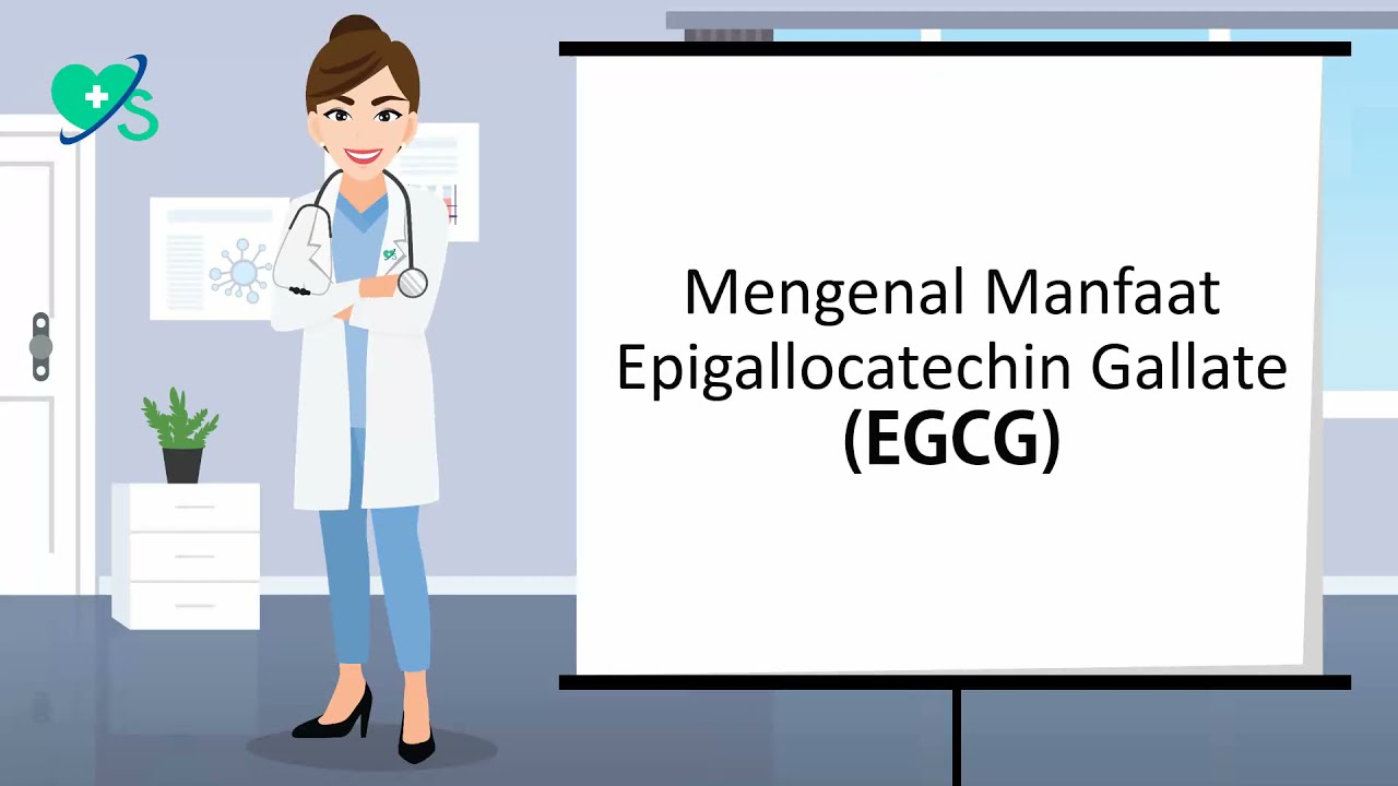 Mengenal Manfaat Epigallocatechin Gallate (EGCG)