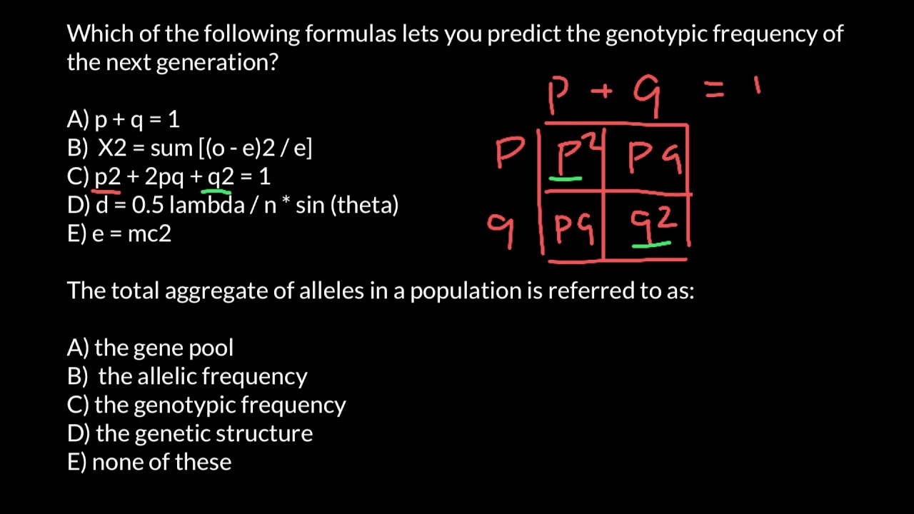 What is a Gene Pool?