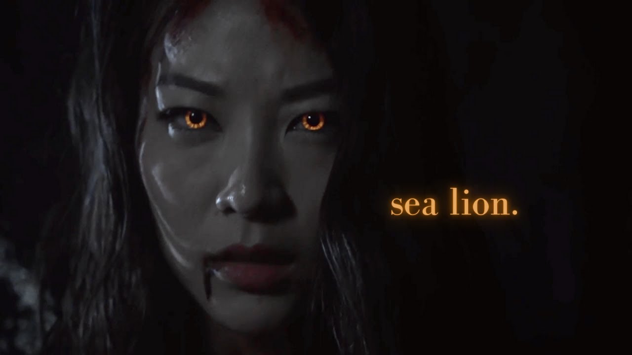 kira yukimura | sea lion