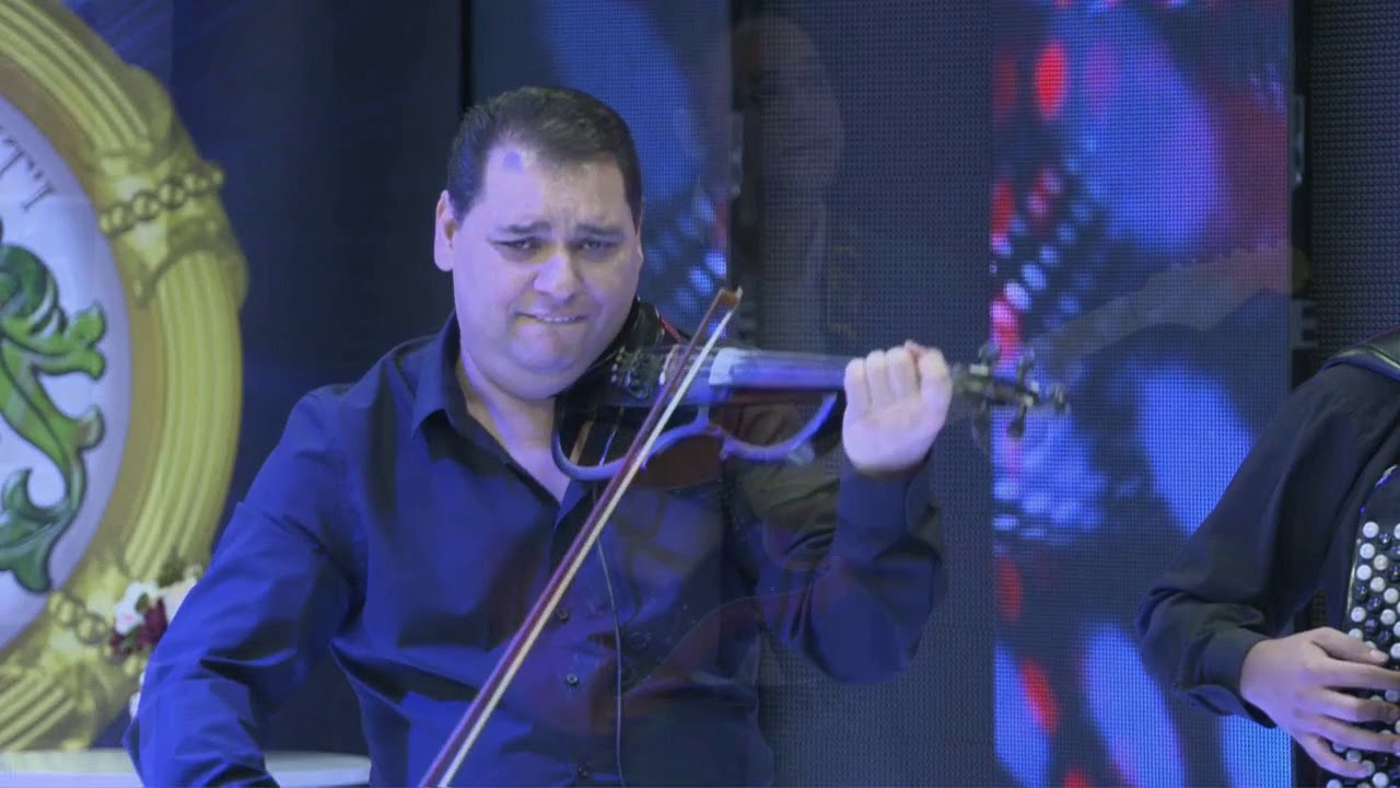Zeljko Nikolic - Popio sam Popio