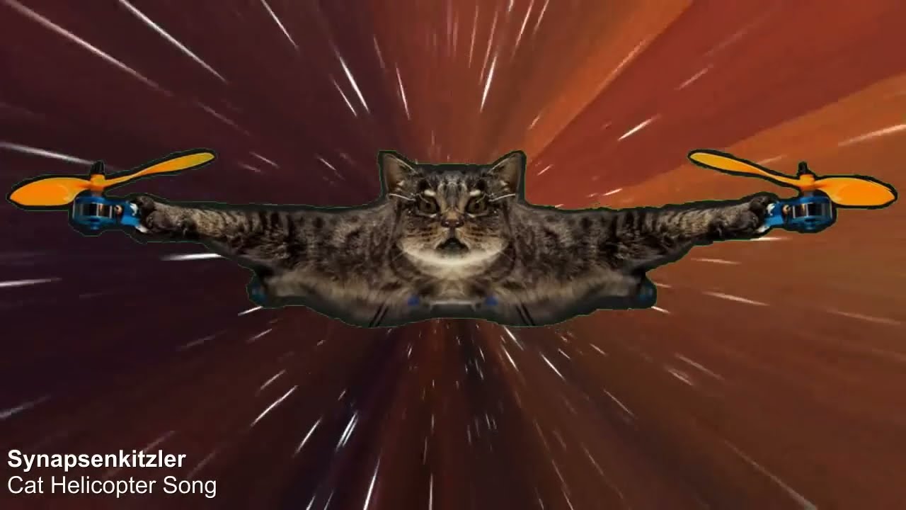 Cat Helicopter Drone Song (flying taxidermy Catcopter) Synapsenkitzler | Frazy.Tv #flugtaxi