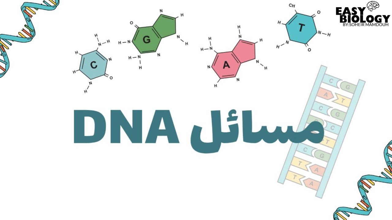 شرح مسائل DNA للصف الثالث الثانوي من أسهل لأصعب فكرة هتفهم يعني هتفهم💯
