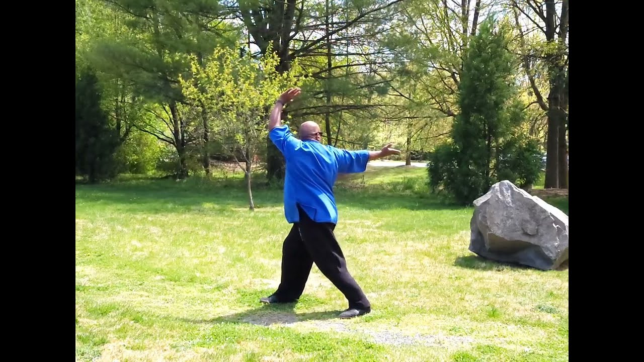 WuDang 5 Animal QiGong