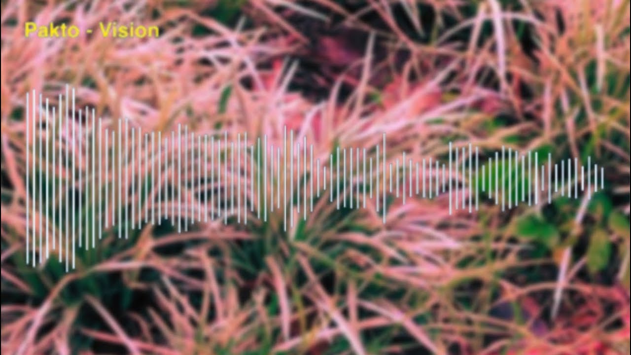 Pakto - Vision [PPM RELEASE]