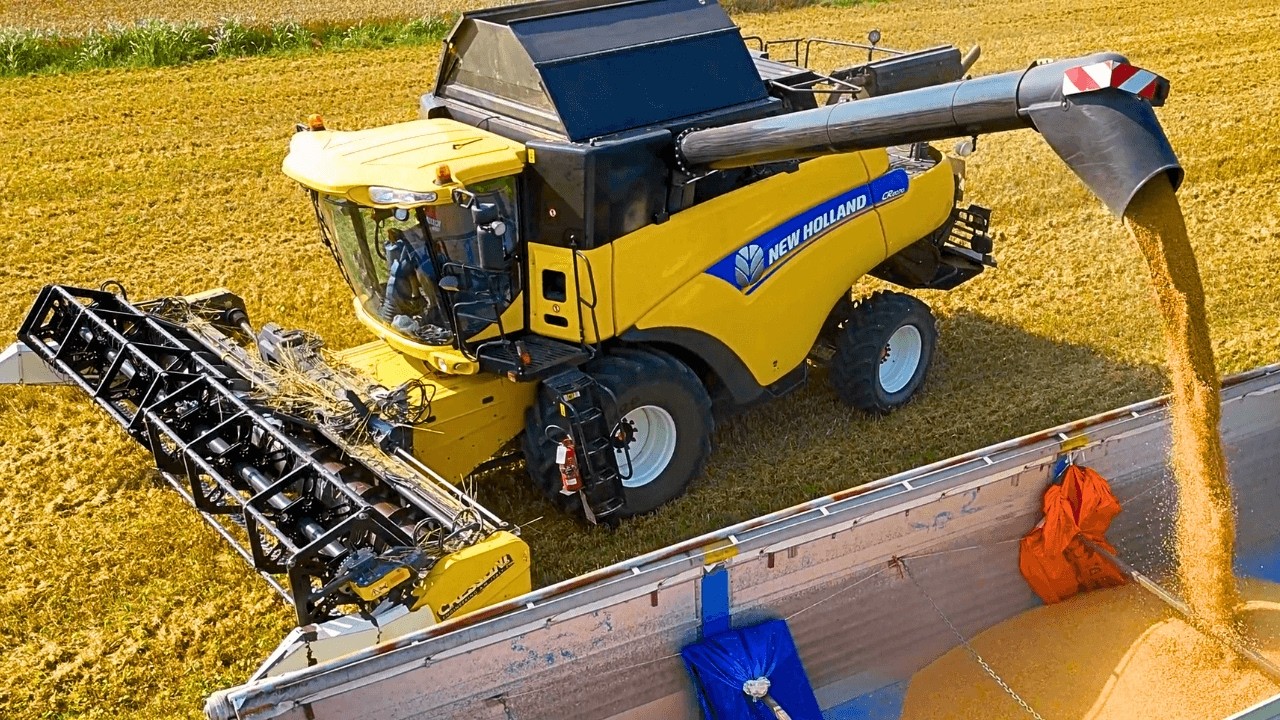 Уборка пшеницы 2025 года. Комбайны NEW HOLLAND CR