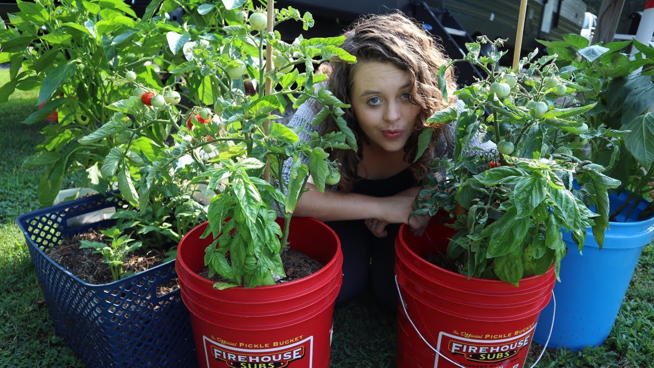 YOU ARE NOT A HOMESTEADER- Homesteader Vs. Farmsteader Vs. Farmer. Which are you?