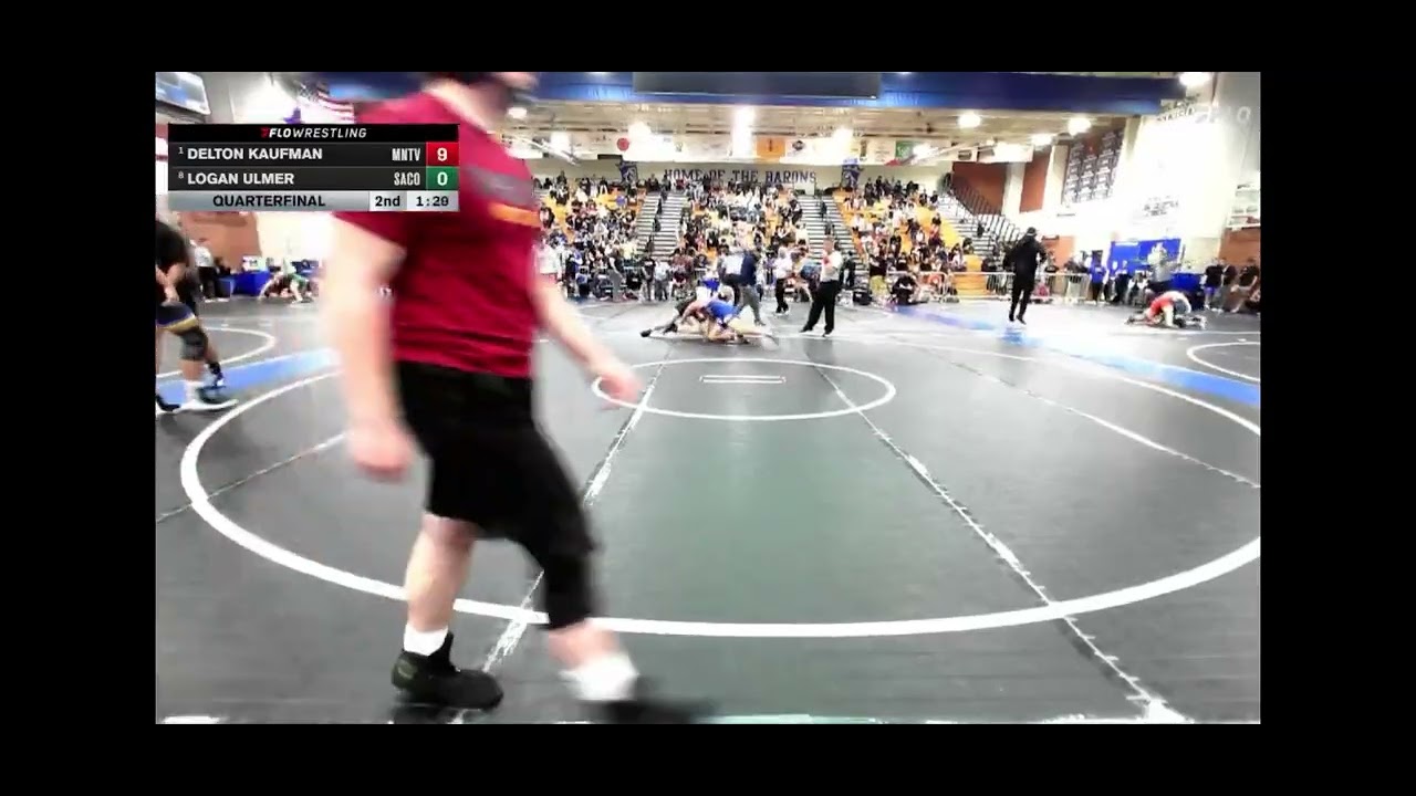 190 lbs Quarterfinal - Delton Kaufman, Mountain View (Mesa) High School vs Logan Ulmer, Santiago