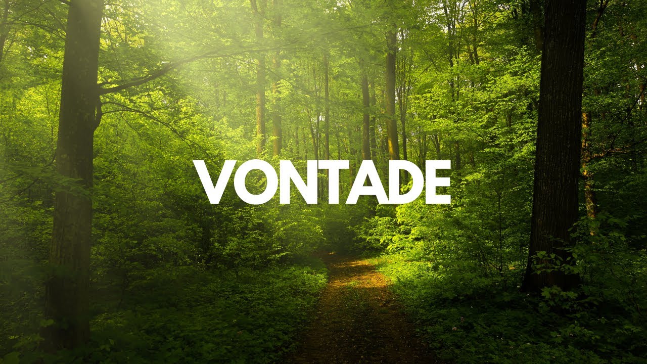 A Vontade: O Que Nos Move?