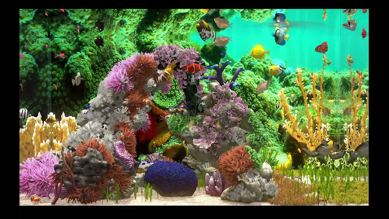 AQUARIUM / FISHTANK IDEAS - ultimate virtual fishtank