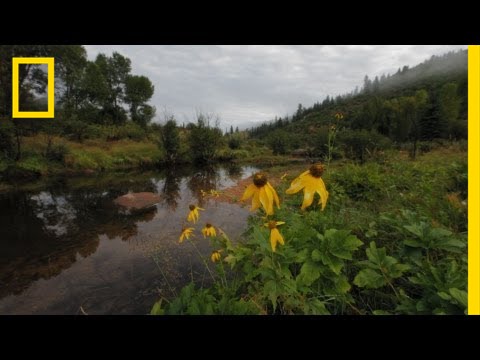 Esperanza para los r&iacute;os durante la sequ&iacute;a | National Geographic