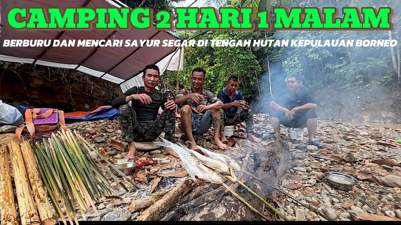 CAMPING 2 HARI 1 MALAM DI TENGAH HUTAN KEPULAUAN BORNEO MENEMBAK IKAN 🐟🐟 MENCARI SAYUR SEGAR#camping