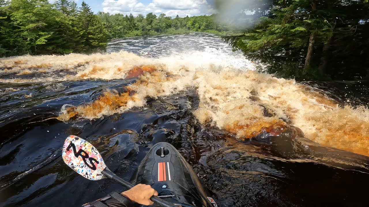 Summer Joy Laps