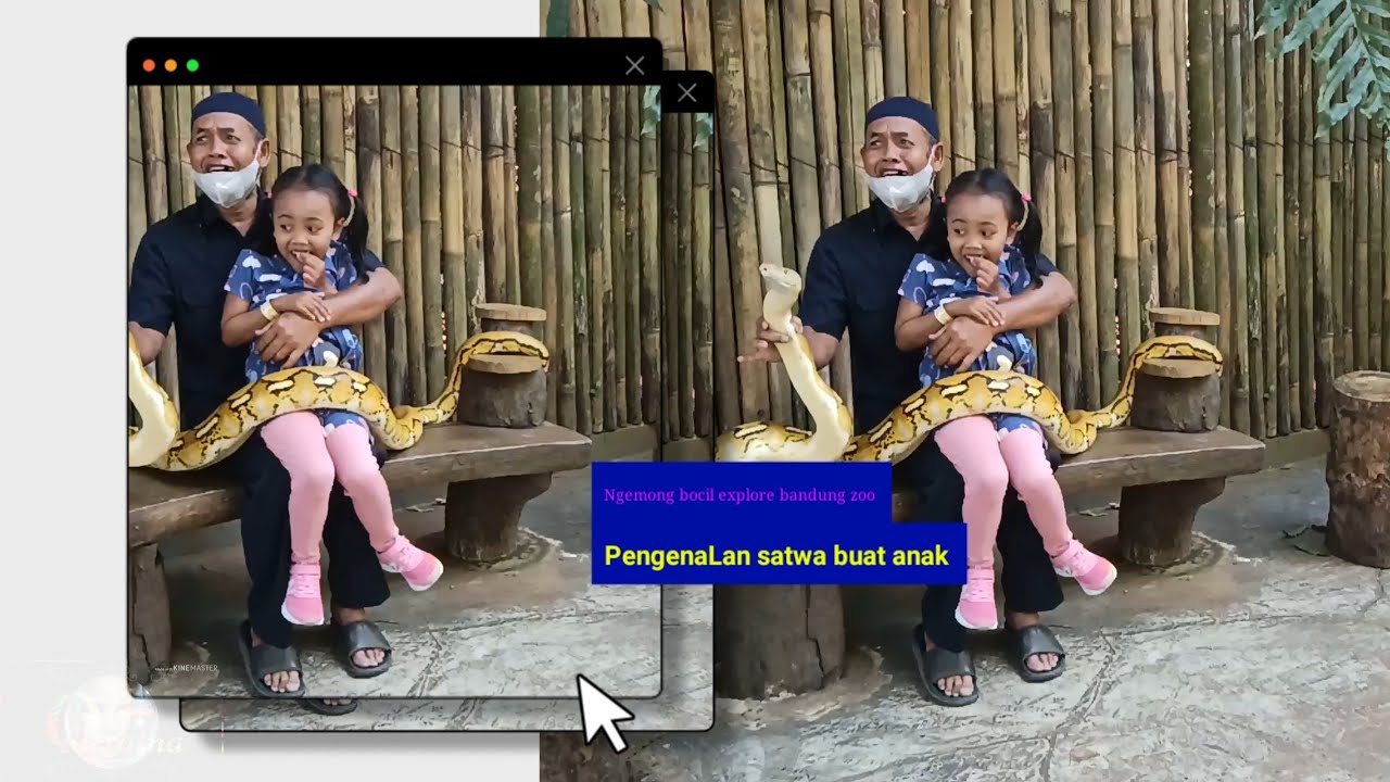 Ngemong bocil Explore bandung Zoo  