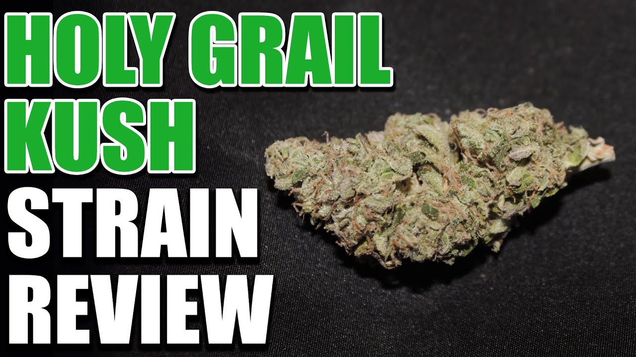Holy Grail Kush Strain Review (DNA Genetics)
