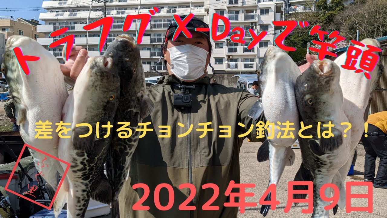 【トラフグXデーで竿頭！】2022年4月9日トラフグ釣り 鴨居 一郎丸