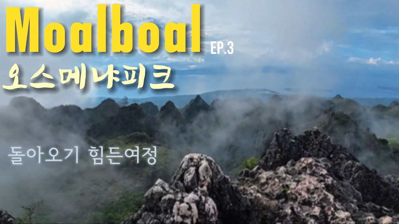 세부 3박5일 여행 ll 모알보알 오스메냐피크, 돌아오기 힘든 여정