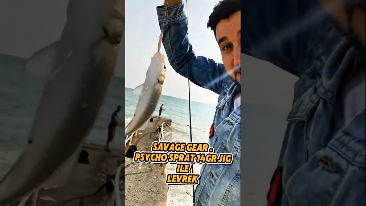 Savage Gear Psycho Sprat 14gr İle Levrek Aldım #fishing #levrek #camping #savagegear @SavageGear