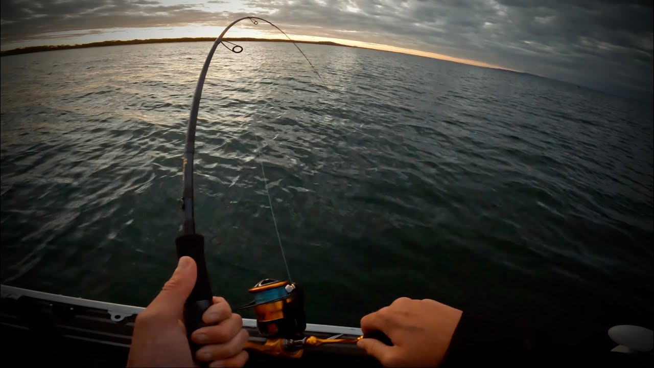 Chasing the Tuna | Offshore Noosa in a 3.5m Tinny