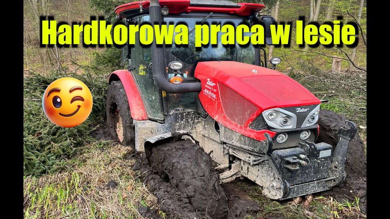 Hardkorowa praca w lesie