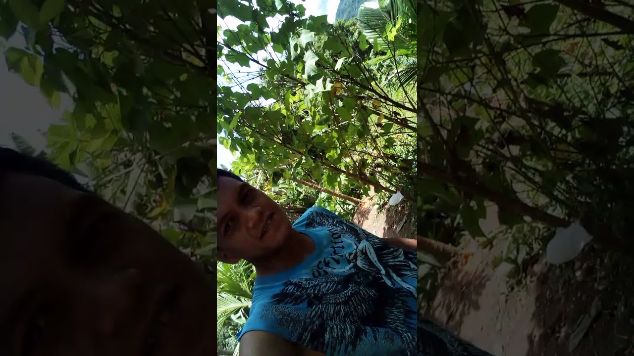 My green farm blog