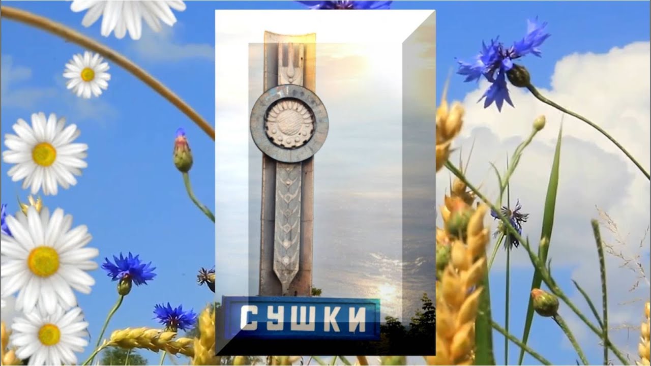Сушки 50 років школи GSV