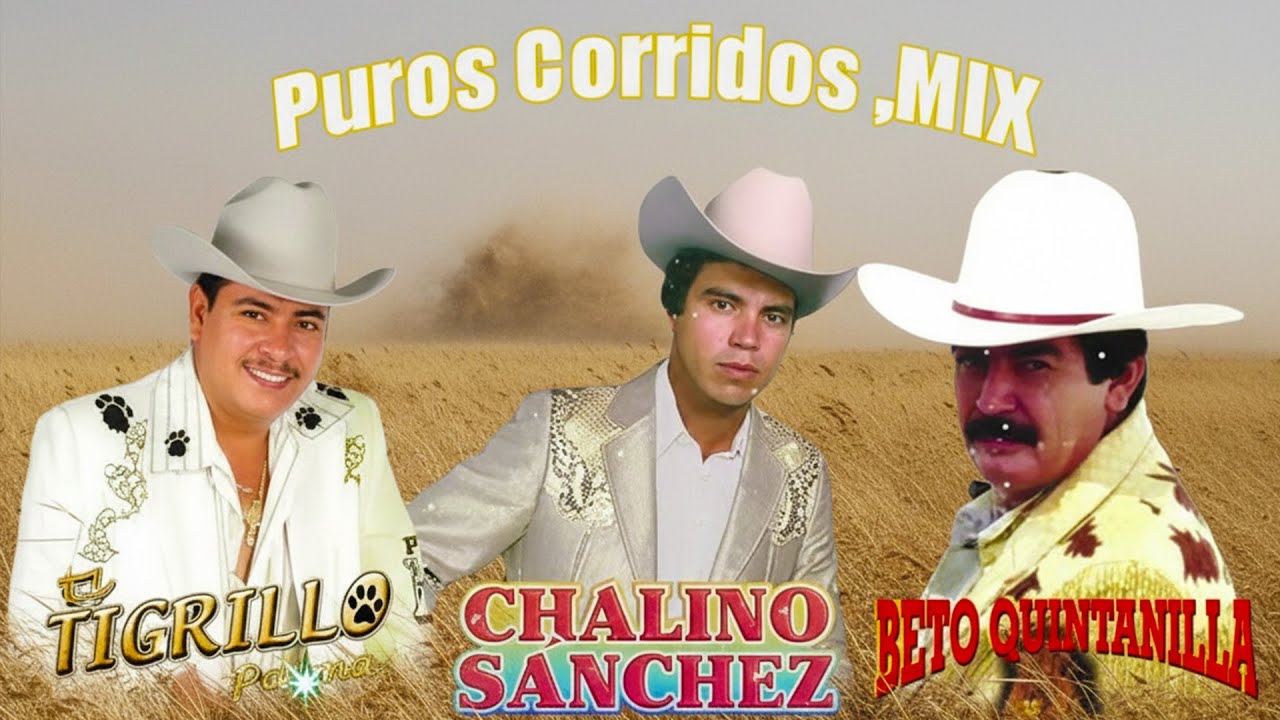 Chalino Sanchez, Beto Quintanilla y Tigrillo Palma Mix Para Pistear - Corridos Pesados Mix