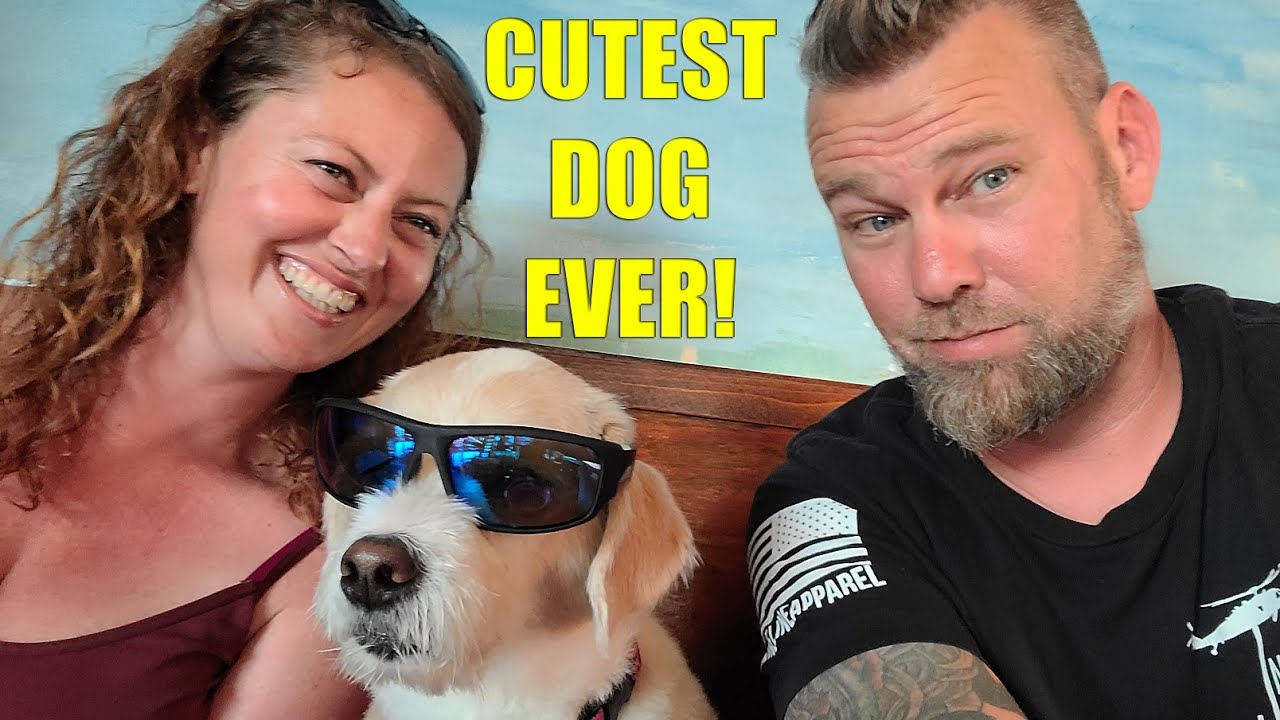 Full Time RV Life With Dogs | Florida Keys | Lagerthas Adventures