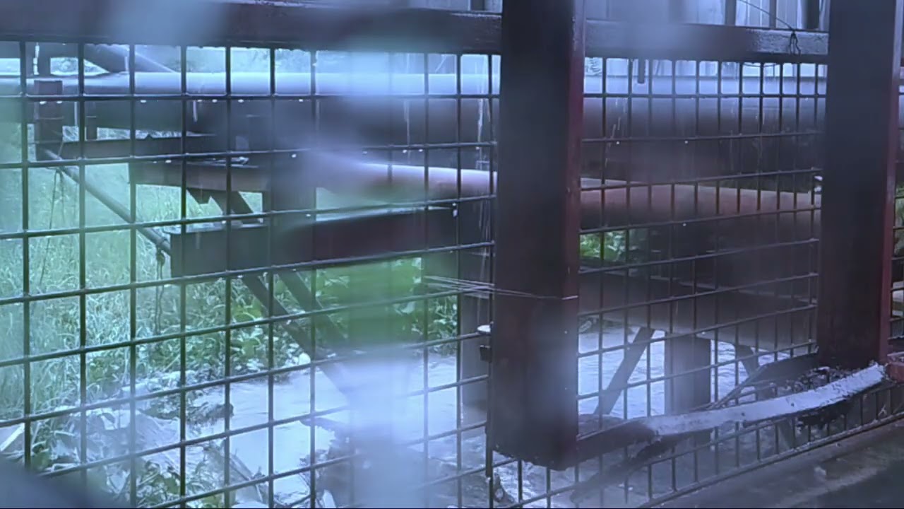 Heavy rain sounds for sleeping | Calm Your Mind & Fall Asleep Fast