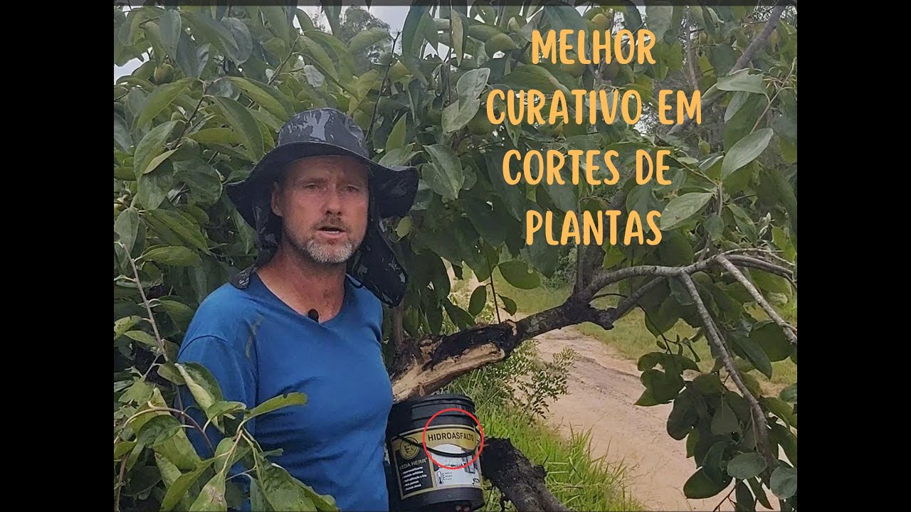 Qual o Melhor "CURATIVO" depois da PODA da sua árvore frutífera?curativo,c
