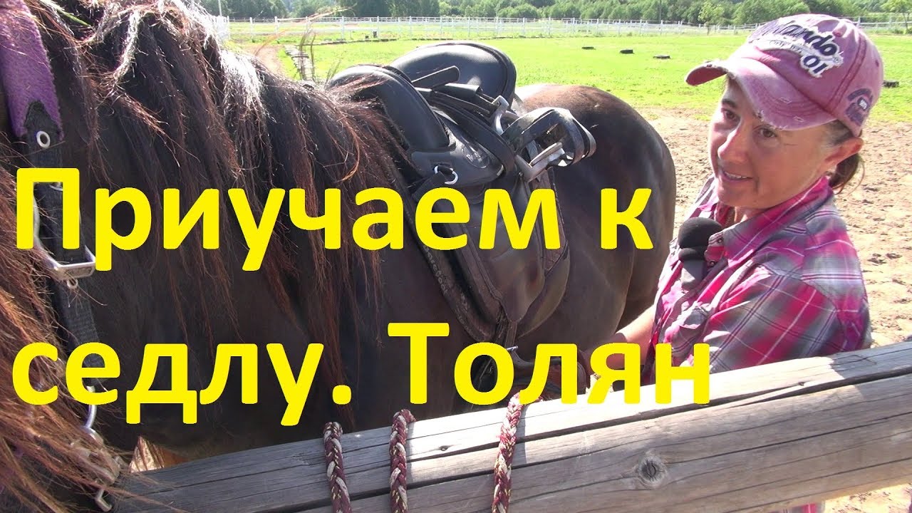 Знакомство с седлом. Толковый Парень.