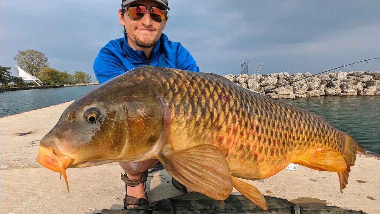 Fishing For GIANT CARP On LAKE MICHIGAN!! (Spring Fishing)
