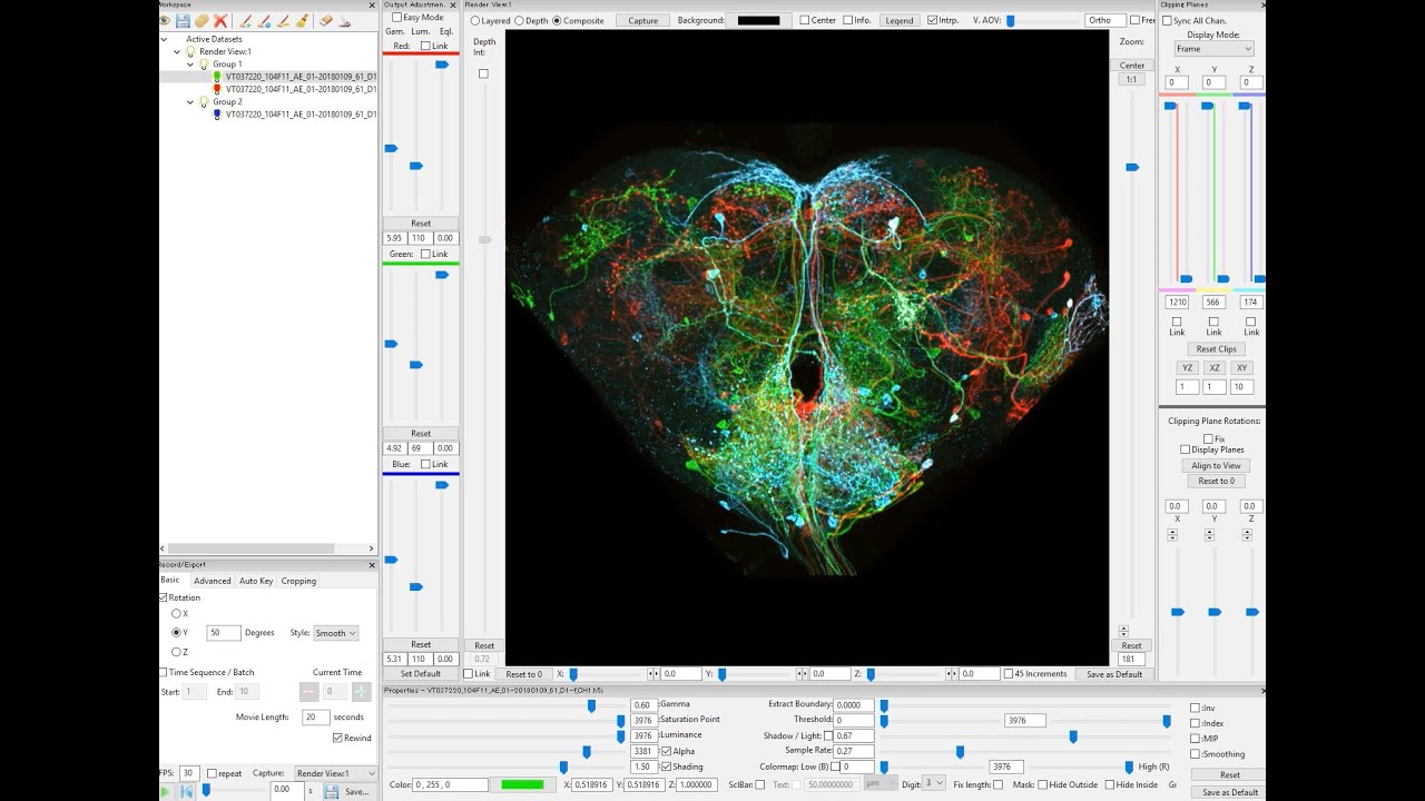 VVDViewer: Multi-channels image adjustment