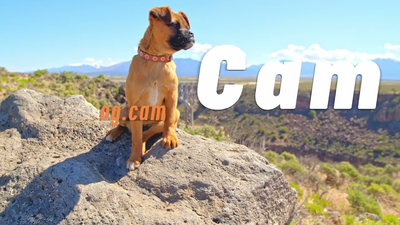 Meet Taos' Newest Travel Influencer