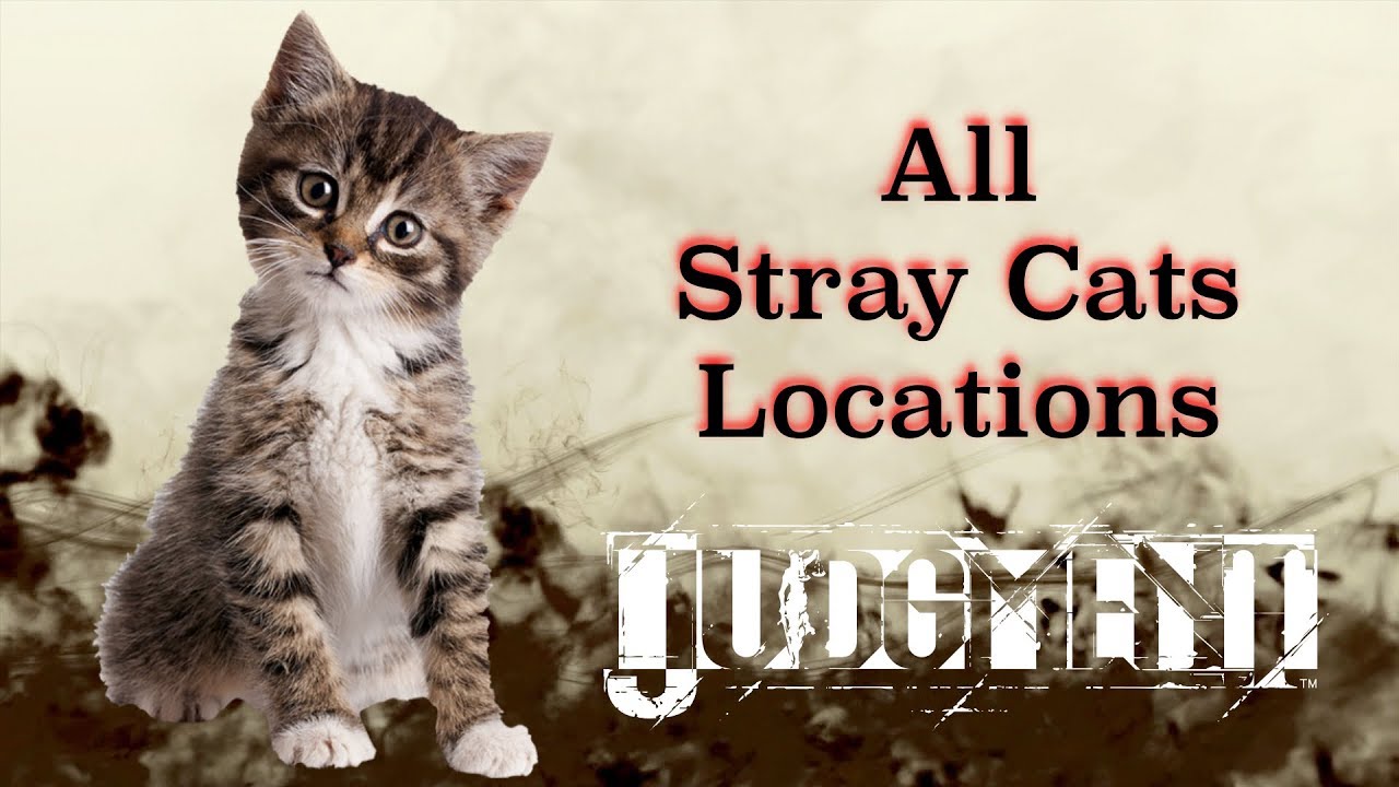 Judgment - All Stray Cats (MISSABLE) - Oh Look, a Cat! Trophy