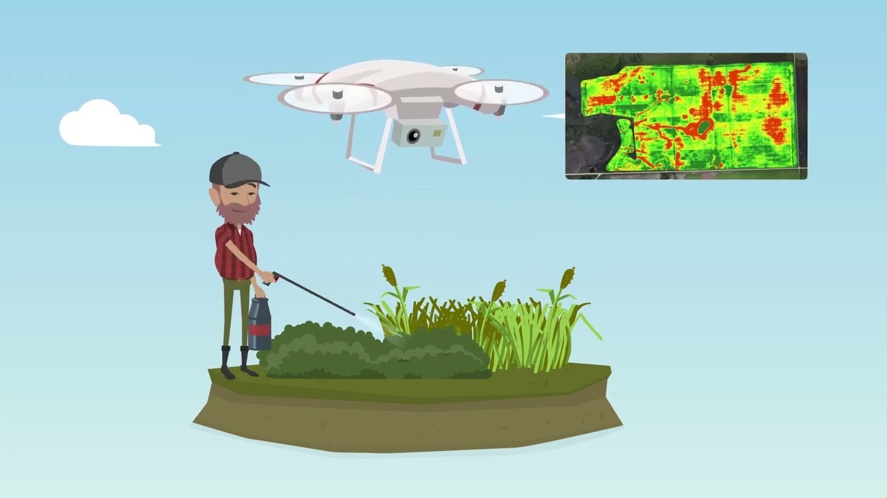 Drones in Agriculture: Weed Detection