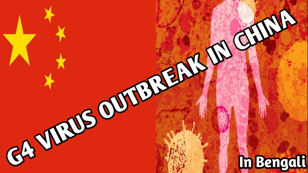 G4 VIRUS OUTBREAK IN CHINA. ANOTHER PANDEMIC? - FACTUBE