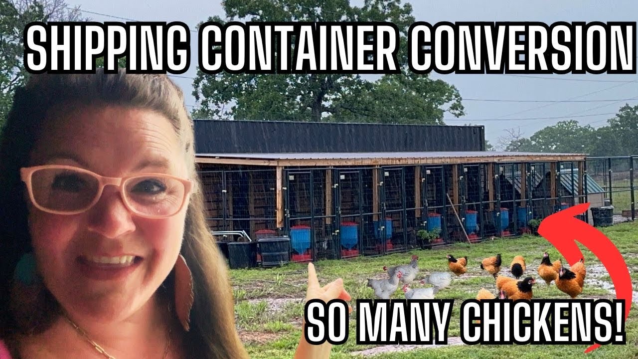 Inside Our Chicken Hatchery From Egg to The Ultimate Coop in 60 Days