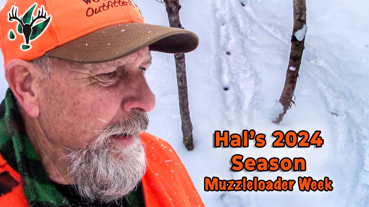 Неделя музыки в Хэл-2024
