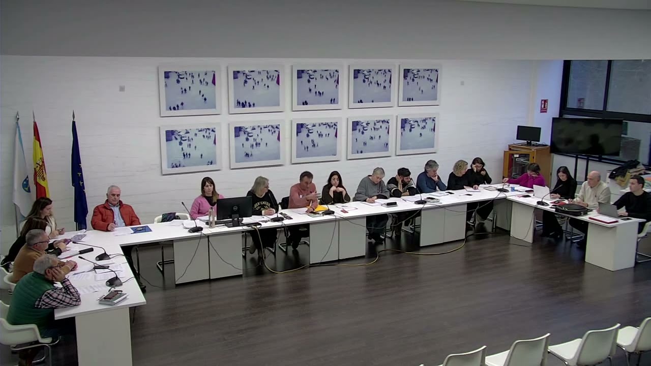 2026 02 05 VIDEOACTA PLENO O