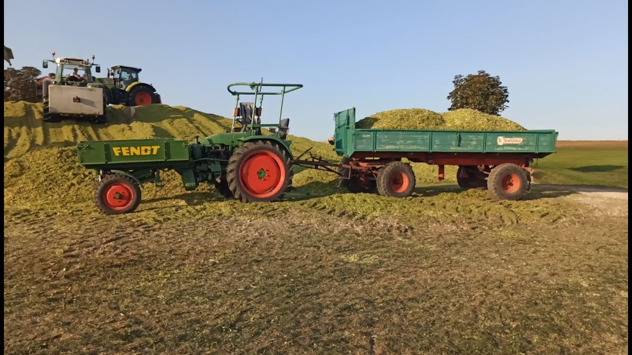 Maishäckseln mit einem Fendt 231 GTS und einem Claas Jaguar 960