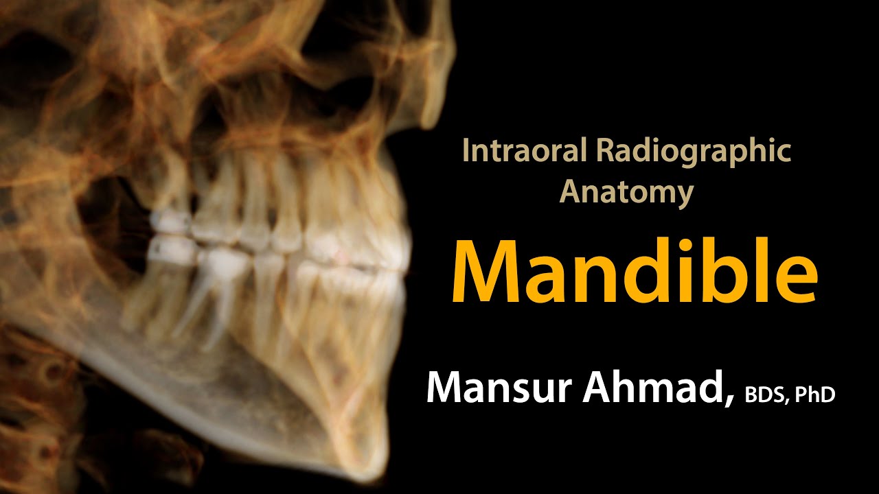 Intraoral Radiographic Anatomy Mandible