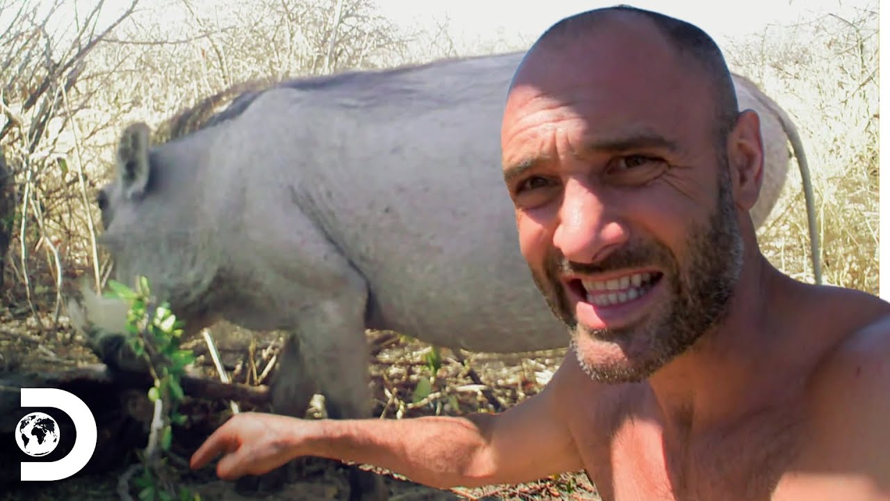 Ed monta armadilhas para ca&ccedil;ar um javali na Nam&iacute;bia | Ed Stafford: O Sobrevivente | Discovery Brasil