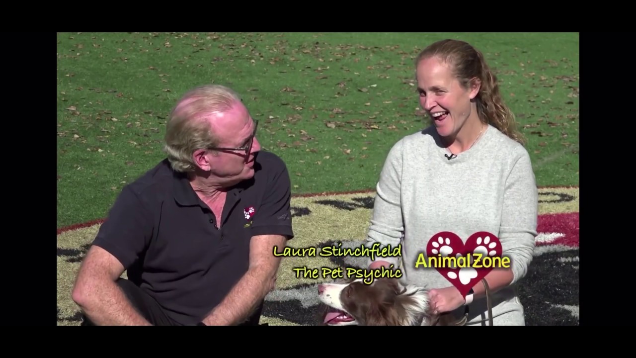 Animal Communicator Talks With A Search Dog In Training