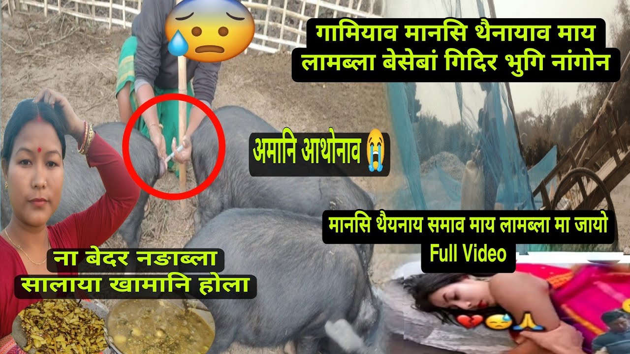 गामियाव मानसि थैनाय समाव माय लामब्ला बेसेबां गिदिर भुगि नांगोन || अमानि आथोनाव एम्फौ नांबा मा होयो