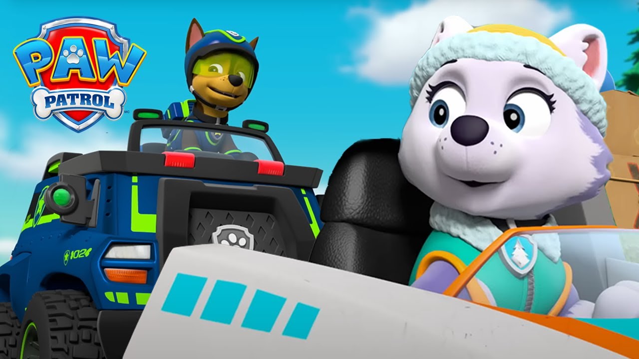 Chase Saves Danny X and Some Hitchhiking Turtles! 🐢 | PAW Patrol UK | Compilation