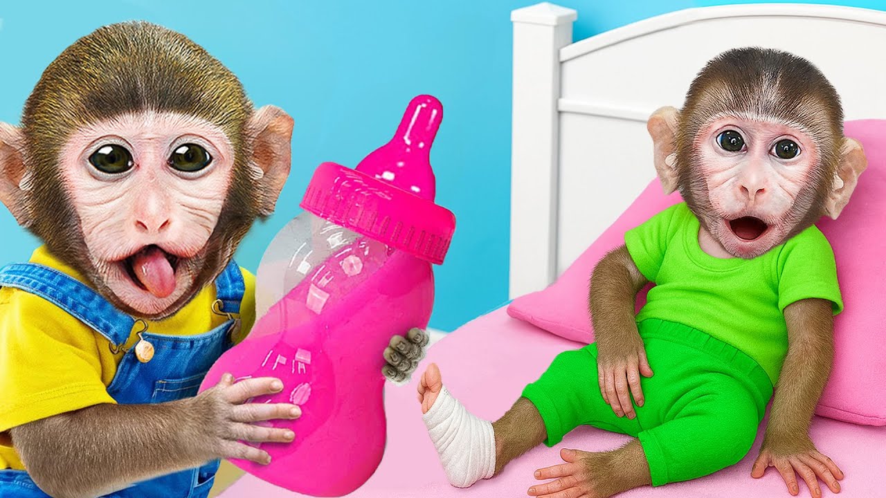 Monkey MoMo & Monkey Nana drive a tractor, take care of a sick baby monkey and make a birthday cake