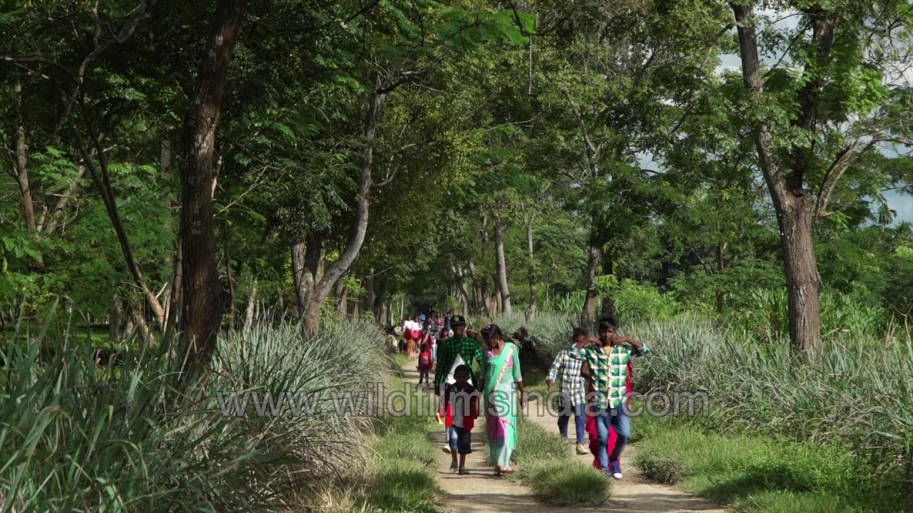 'Tea city of India', Dibrugarh in Upper Assam