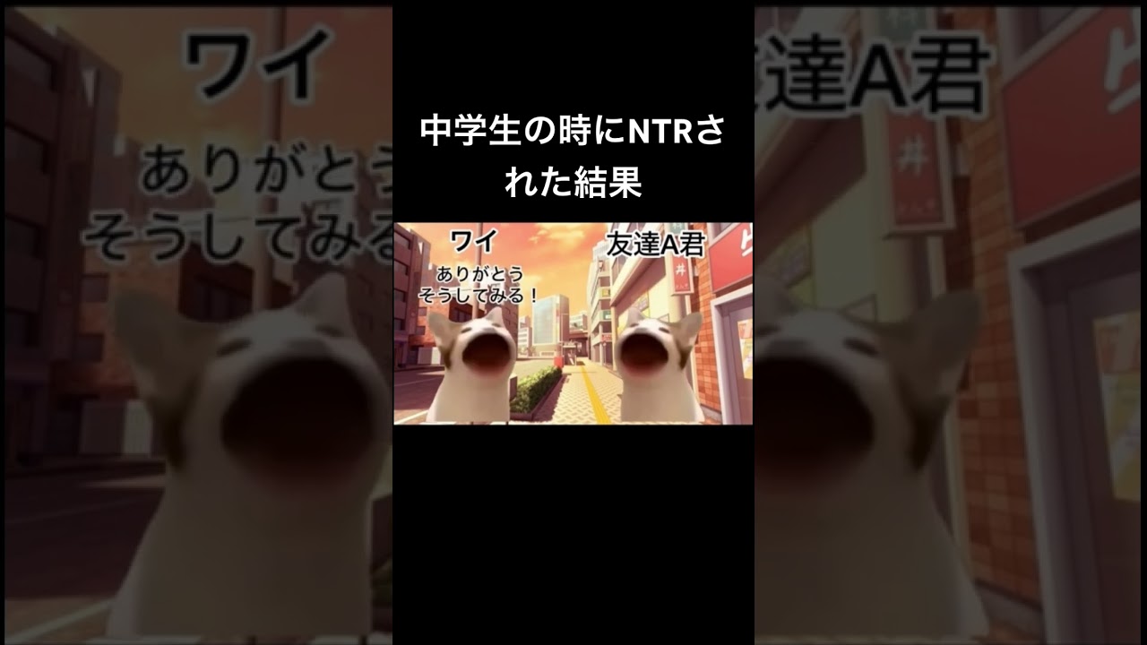 【前編】中学生の時にNTRされた結果#ntr #猫ミーム