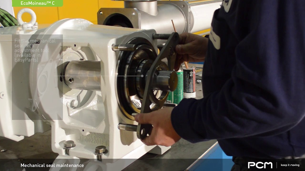 PCM EcoMoineau™ C8 Pump -  Mechanical Seal Maintenance - English